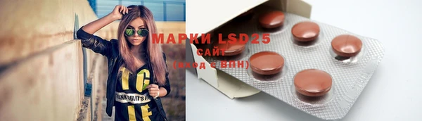 гашик Абаза