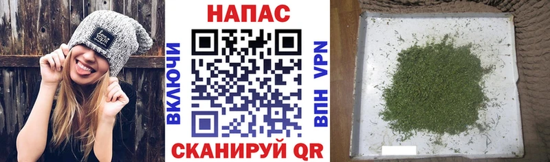 Конопля конопля  где купить   Нягань 